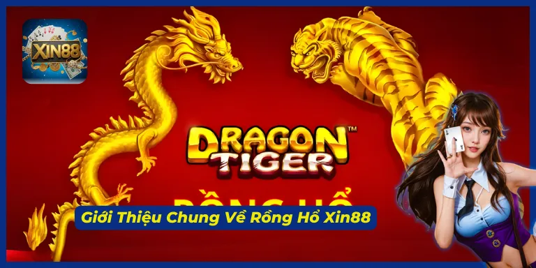 Trò chơi Rồng Hổ Xin88 xuất phát từ Campuchia