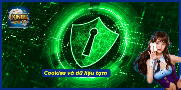 Chính sách bảo mật XIN88 và cơ chế sử dụng cookies