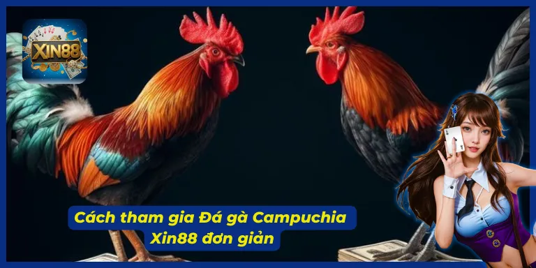 Hướng dẫn truy cập sảnh cược chọi kê Campuchia