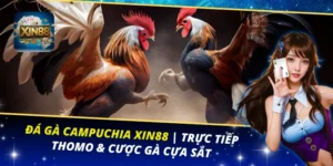 Đá Gà Campuchia Xin88
