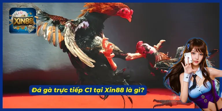 Giới thiệu chọi kê trực tiếp C1 tại cổng game