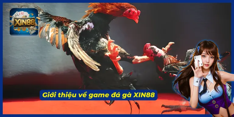 Game đá gà XIN88 là một trong những game được yêu thích nhất hiện nay