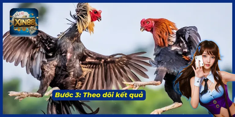 Cách tham gia game đá gà XIN88 vô cùng đơn giản và dễ hiểu