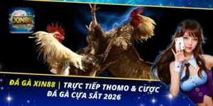 Đá Gà XIN88