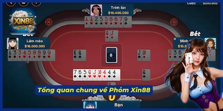 Tóm tắt vài nét về phỏm Xin88