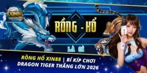 Rồng Hổ Xin88